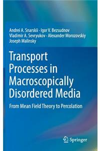 Transport Processes in Macroscopically Disordered Media