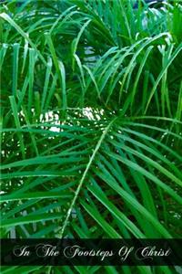 In The Footsteps Of Christ