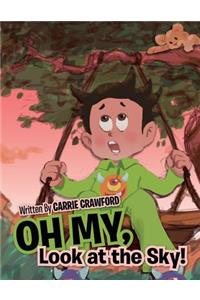 Oh My, Look at the Sky!