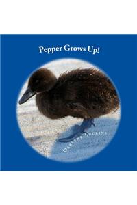 Pepper Grows Up
