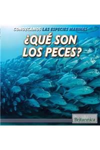 ¿Qué Son Los Peces? (What Are Fish?)