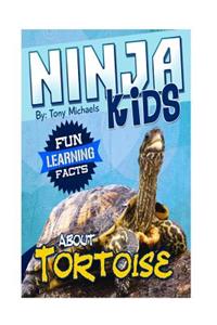Fun Learning Facts about Tortoise