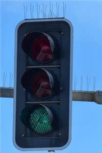 The Traffic Light Journal (Green - Go)