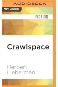 Crawlspace