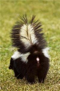 The Skunk Takes Aim Journal