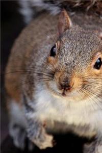 Inquisitive Squirrel Checking You Out Journal