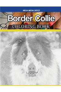 Border Collie Coloring Book