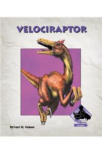 Velociraptor