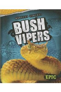 Bush Vipers