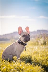 French Bulldogs Dog Pup Puppy Doggie Notebook Bullet Journal Diary Composition Book Notepad - Standing On Grass