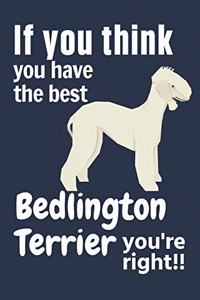 If you think you have the best Bedlington Terrier you're right!!