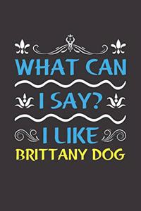 What Can I Say? I Like Brittany Dog