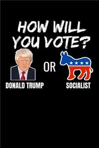 How Will You Vote? Donald Trump or Socialist