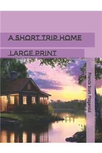 A Short Trip Home