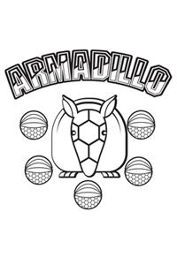 Armadillo