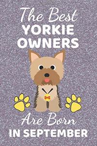 The Best Yorkie Owners Are Born In September