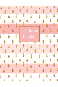 6 Column Ledger