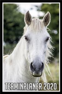Terminplaner 2020