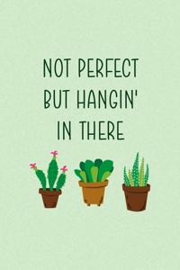 Not Perfect But Hangin' In There