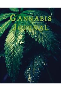 Cannabis Journal