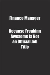 Finance Manager Because Freaking Awesome Is Not an Official Job Title.