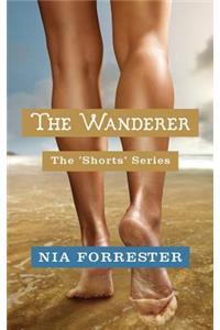 The Wanderer