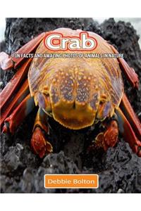 Crab: Fun Facts and Amazing Photos of Animals in Nature