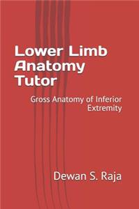 Lower Limb Anatomy Tutor