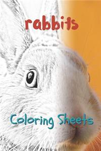 Rabbit Coloring Sheets