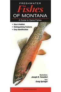 Freshwater Fishes of Montana: A Guide to Game Fishes