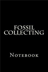 Fossil Collecting