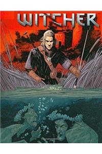 Witcher Adult