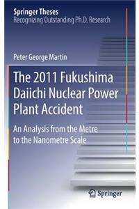 2011 Fukushima Daiichi Nuclear Power Plant Accident