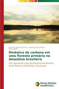 Dinâmica de carbono em uma floresta primária na Amazônia brasileira