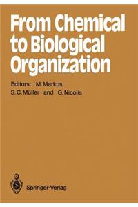 From Chemical to Biological Organization