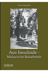 Aus Insulinde - Malayische Reisebriefe