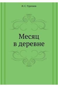 Mesyats V Derevne