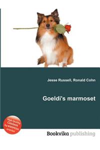 Goeldi's Marmoset