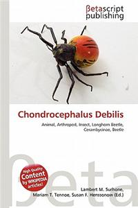 Chondrocephalus Debilis
