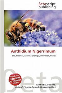 Anthidium Nigerrimum