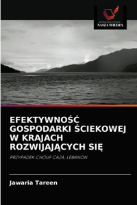 EfektywnoŚĆ Gospodarki Ściekowej W Krajach RozwijajĄcych SiĘ