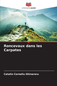 Roncevaux dans les Carpates