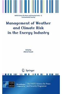 Management of Weather and Climate Risk in the Energy Industry