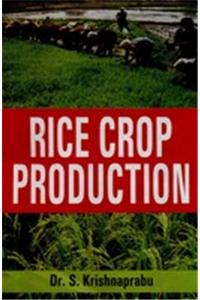Rice crop production