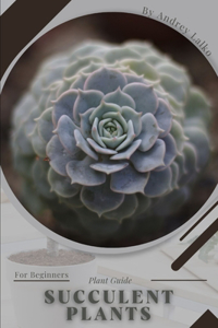 Succulent Plants