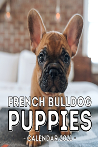 French Bulldog Puppies Calendar 2021