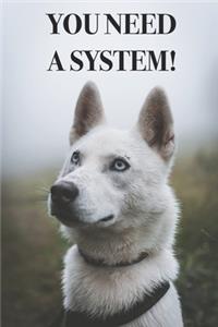 You Need A System!