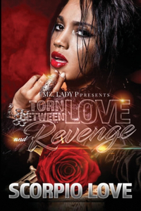 Torn Between Love and Revenge