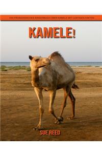Kamele! Ein pädagogisches Kinderbuch über Kamele mit lustigen Fakten