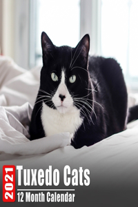 Calendar 2021 Tuxedo Cats